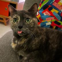 Have you ever seen such a stupid looking animal?