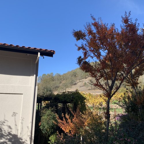Winery