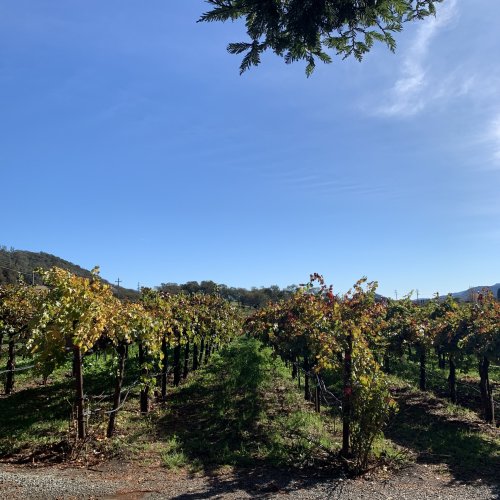 Winery