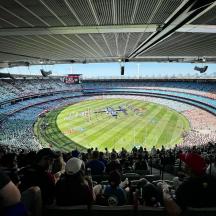 Two stories, one ending. Go Lions! #aflgf